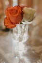 Vertical closeup shot of short white and red roses in a small glass vase Royalty Free Stock Photo