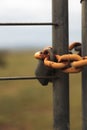 Vertical closeup shot of a steel orange chain with a lock on a fence