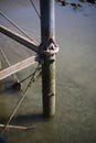 Vertical closeup shot of un underside of a metal pier covered with moss in a muddy beach