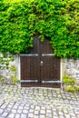 Vertical closeup shot of a wooden door in an old stone wall covered in green ivy plant Royalty Free Stock Photo