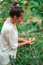 Vertical closeup of a woman in the garden checking her tomato plants. Sustainable agriculture.