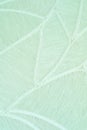 Vertical closeup of a woven green fabric background