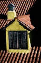 Vertical closeup of a yellow roof dormer