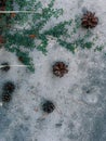 Vertical closuep shot of pinecones on the ground