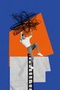 Vertical collage of complicated funky woman hold confusion drawing reach ladder career overworked dream fantasy isolated