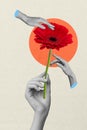 Vertical collage creative poster black white filter three human hand hold touch flower red exclusive colorful white