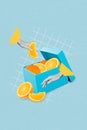 Vertical collage image of black white gamma hands hold touch opened box orange fruit slices isolated on drawing Royalty Free Stock Photo