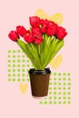 Vertical collage image of bouquet fresh tulips flowers coffee cup instead vase isolated on creative background Royalty Free Stock Photo