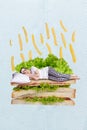 Vertical collage image of peaceful mini girl laying sleeping huge sandwich flying french fries isolated on creative