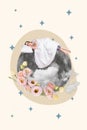 Vertical collage photo artwork of young sleeping relaxed cute girl abstract levitating moon with flowers dreaming Royalty Free Stock Photo