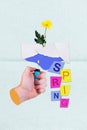 Vertical collage picture of arm hold lighter flame burn paper card growing flower spring letters text isolated on