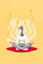 Vertical collage picture of black white effect girl swan head sit crossed legs meditate growing arrows upwards isolated
