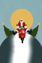 Vertical collage picture of funky grandfather santa drive bike snowy road christmas night decorated evergreen tree