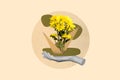 Vertical collage portrait of arm palm hold demonstrate growing yellow flower isolated on drawing background