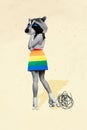 Vertical collage standing young girl roller skater raccoon head look back colored skirt pride lgbt flag rights equality Royalty Free Stock Photo