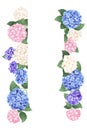 Vertical colorful hydrangea template design banner flat vector illustration on white background Royalty Free Stock Photo