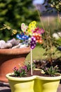 Vertical of a colorful pinwheel in a yellow flower pot in the garden. Royalty Free Stock Photo