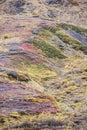 Vertical - Colors of the landscape, yellow, green, blue, red, purple, of Denali National Park.