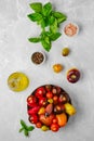 Vertical composition with assortment of tomatoes, basil and spice Royalty Free Stock Photo