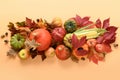 Vertical composition of fall harvest, pumpkins, corncob, colorful leaves. Thanksgiving Day and Halloween. Royalty Free Stock Photo