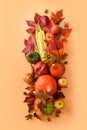 Vertical composition of fall harvest, pumpkins, corncob, colorful leaves. View from above. Thanksgiving Day and Halloween Royalty Free Stock Photo