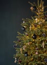 A vertical composition featuring the upper half of a decorated Christmas tree with warm lights and colorful ornaments Royalty Free Stock Photo