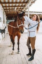 Vertical confident horse woman equestrienne, putting on harness. Grooming brushing horse, mane, snout. Animal care. Royalty Free Stock Photo