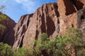 Vertical conglomerate wall of sacred Mount Uluru with trees at the base. Pictured from below. Northern Territory NT Australia