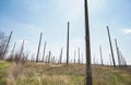 Vertical construction of the astronomical radio telescope observatory on the territory of the Institute of the ionosphere