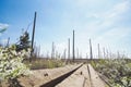 Vertical construction of the astronomical radio telescope observatory on the territory of the Institute of the ionosphere