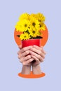 Vertical creative collage human hands hold yellow daisy flowers houseplant pot beauty blossom springtime holiday