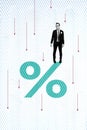 Vertical creative collage poster standing upset businessman guy percentage sign arrows down recession regression finance Royalty Free Stock Photo