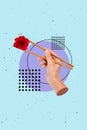 Vertical creative 3d photo collage illustration of hand hold sticks red rose instead of sushi roll isolated on turquoise Royalty Free Stock Photo