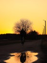 Vertical of a cyclist reflected in a small water puddle with golden sunset sky in the background Royalty Free Stock Photo