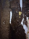 vertical dark background brown colour painting texture abstract