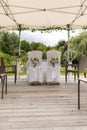 Vertical of decorated chairs in an outdoor hall on a wedding day Royalty Free Stock Photo