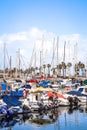 Vertical of docked yachts and boats during a sunny day and palm trees in Las Palmas, Spain