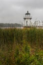 Vertical Doubling Point Lighthouse Cattails in Foreground Royalty Free Stock Photo