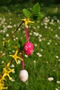 Vertical easter eggs on branchlet