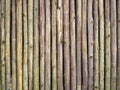 Vertical of Eucalyptus wood, Eucalyptus wood arranged in layers, wood texture background. Royalty Free Stock Photo