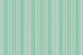 Vertical fabric vector. Textile stripe pattern. Background seamless lines texture Royalty Free Stock Photo