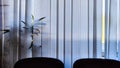 Vertical fabric white blinds on the window with the sun. Background and texture. Abstract pattern and frame. Stripes and Royalty Free Stock Photo