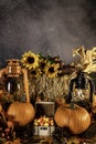 Vertical fall still life with pumpkins and candy corn Royalty Free Stock Photo