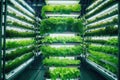 vertical farm, with crops growing on vertical wall and fish swimming in aquariums