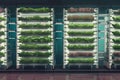 vertical farm, with crops growing on vertical wall and fish swimming in aquariums