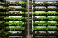 vertical farm, with crops growing on vertical wall and fish swimming in aquariums