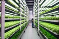 Vertical Farming future of agriculture. farmers using vertically stacked layers can produce much more food. AI generative