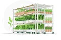 Vertical farming hydroponics isolated Royalty Free Stock Photo