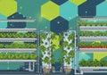 Vertical farming setup featuring hydroponic systems with leafy Royalty Free Stock Photo