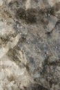 Vertical filled frame close up macro shot of a brown, beige, white mineral salt lick stone intended for feeding wild boars in a